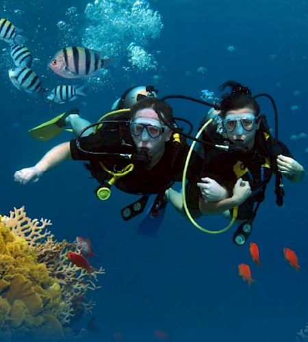 Исследуем глубины: подводные виды спорта в Кушадасы