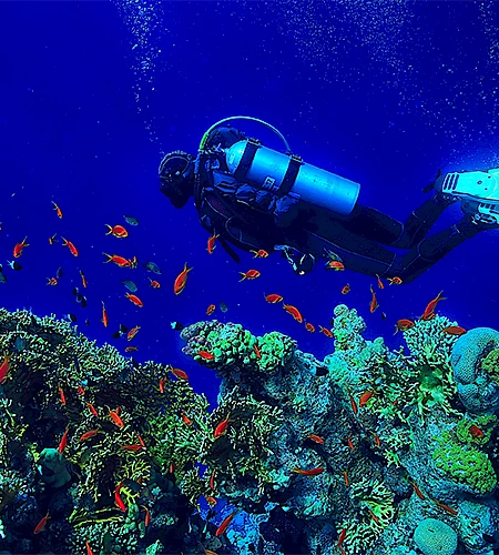 Buceo En Kusadasi: Explora Las Maravillas Submarinas Del Mar Egeo