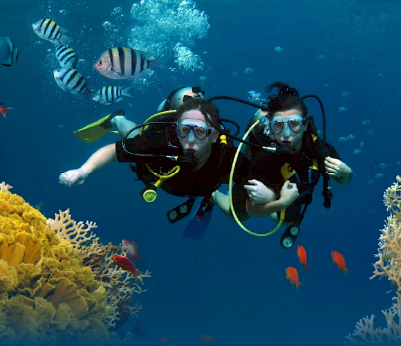 Исследуем глубины: подводные виды спорта в Кушадасы