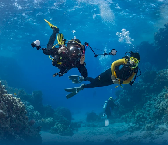 Entdecken Sie die bezaubernde Unterwasserwelt von Kuşadası - Ein Paradies für Tauchbegeisterte