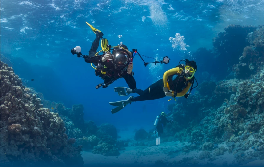 Discover the Enchanting Underwater World of Kusadasi: A Haven for Diving Enthusiasts