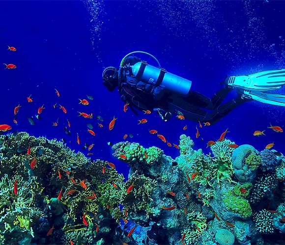 "Подводное плавание в Кушадасы: исследуйте подводные чудеса Эгейского моря