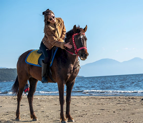 Entfesseln Sie den Abenteurer in Ihnen: Pferdesafari in Kuşadası, Türkei
